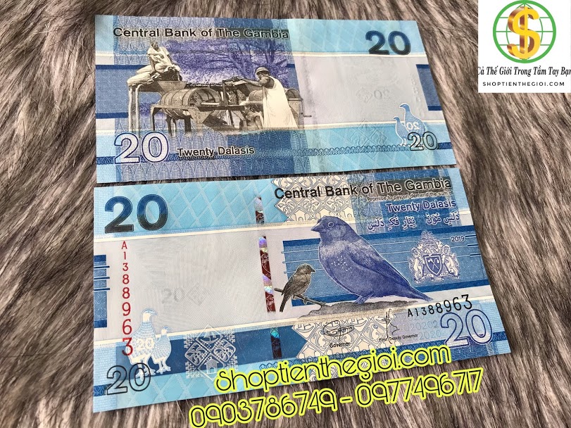Gambia 20 dalasis 2019 UNC